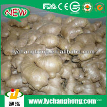 2014 Chinese Air Dry Ginger